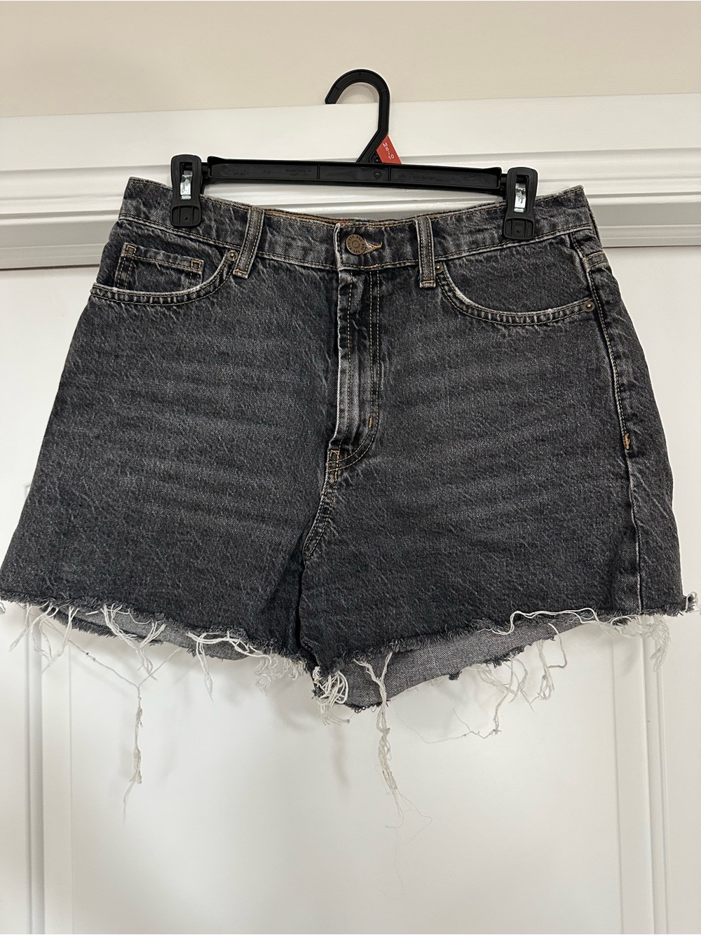 BDG High-Rise Cut Off Denim Shorts